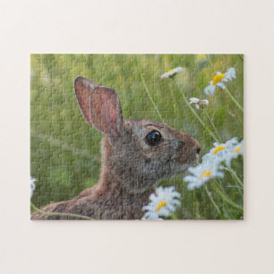 Puzzle Lapin sauvage dans les marguerites