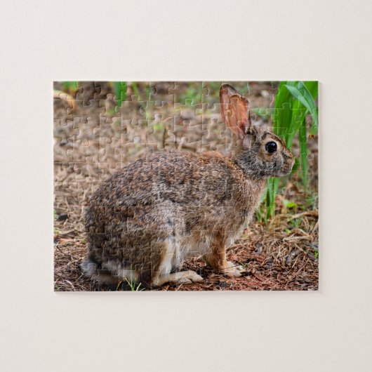 Puzzle Lapin sauvage mignon (Horizontal)
