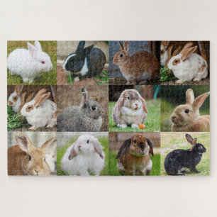 Puzzle Lapins