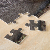 Puzzle Lapins de lapin sauvages (Côté)