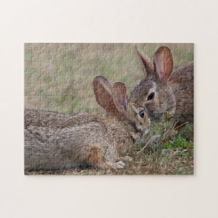 Puzzle Lapins de lapin sauvages