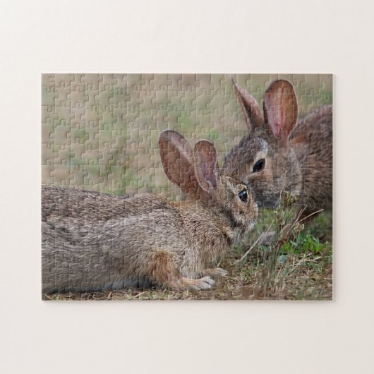 Puzzle Lapins de lapin sauvages (Horizontal)