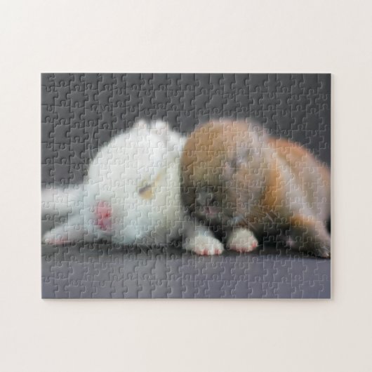 Puzzle Lapins nains de Netherland (Horizontal)