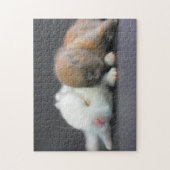 Puzzle Lapins nains de Netherland (Vertical)