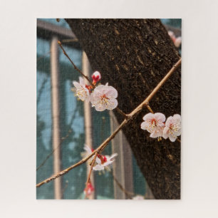 Puzzle L'appel noble du printemps coréen
