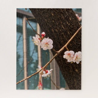 Puzzle L'appel noble du printemps coréen