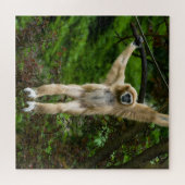 Puzzle Lar Gibbon suspendu de l'arbre (Horizontal)