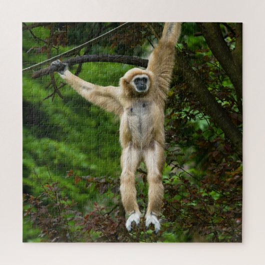 Puzzle Lar Gibbon suspendu de l'arbre (Vertical)