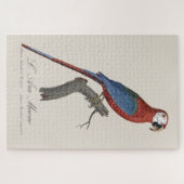 Puzzle L'Ara Macao / Macao rouge et vert (Horizontal)