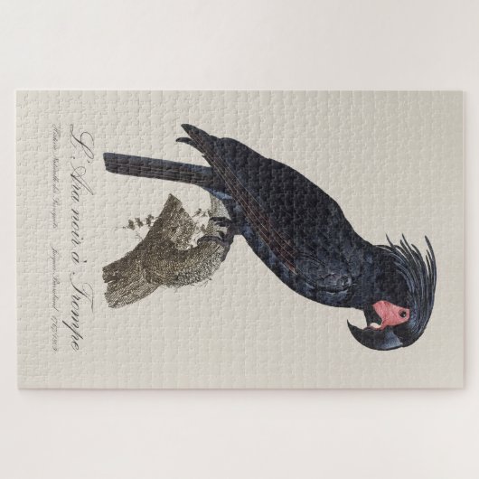 Puzzle L'Ara Noir a Trompe / Palm Cockatoo (Horizontal)