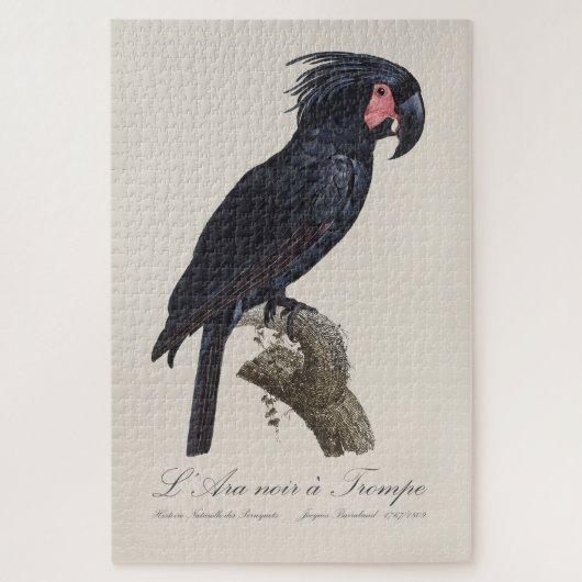 Puzzle L'Ara Noir a Trompe / Palm Cockatoo (Vertical)