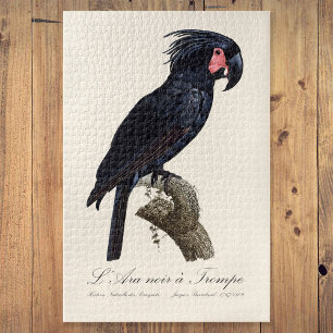 Puzzle L'Ara Noir a Trompe / Palm Cockatoo