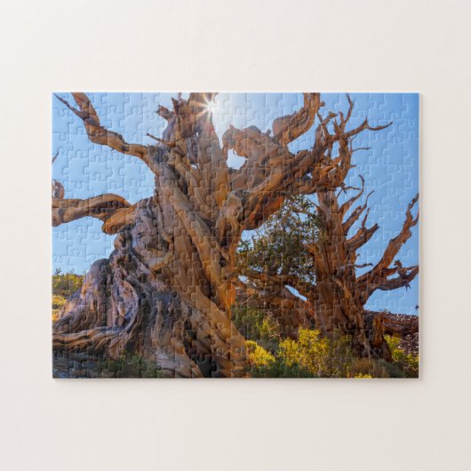 Puzzle L'arbre sentinelle (Horizontal)