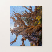 Puzzle L'arbre sentinelle (Vertical)