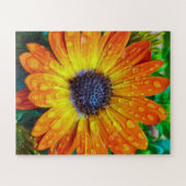 Puzzle Large Golden Flower Close Up (Horizontal)