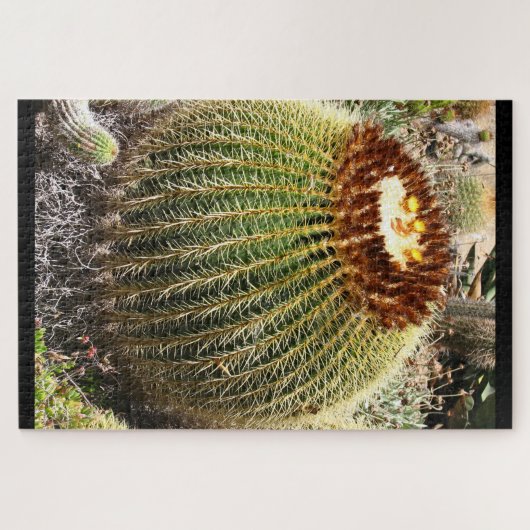 Puzzle Large Round Prickly Cactus (Horizontal)