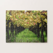 Puzzle L'Argentine, Mendoza, rangée de raisin dans le (Horizontal)