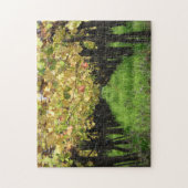 Puzzle L'Argentine, Mendoza, rangée de raisin dans le (Vertical)