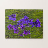 Puzzle Larkspur pourpre en soirée (Horizontal)