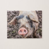 Puzzle Larry le cochon (Horizontal)