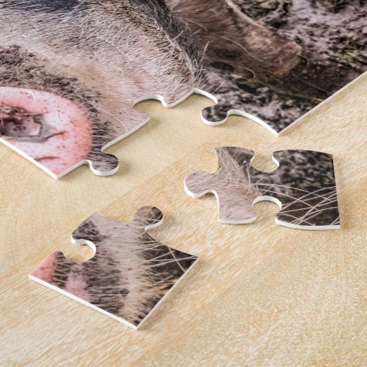 Puzzle Larry le cochon (Côté)