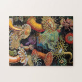 Puzzle L'art de la nature par Ernst Haeckel (Horizontal)