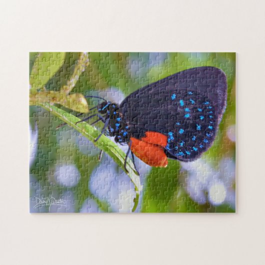 Puzzle L'Atala (Horizontal)