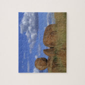 Puzzle L'Australie, les marbres du diable. grès sphérique (Vertical)