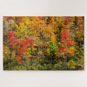 Puzzle L'automne à Sims Pond Caroline du Nord, Blue Ridge