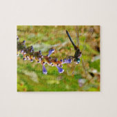 Puzzle Lavande (Horizontal)