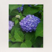 Puzzle Lavender Hydrangea (Vertical)