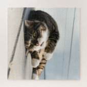 Puzzle Lazy Cat Lounge sur Porch (Horizontal)