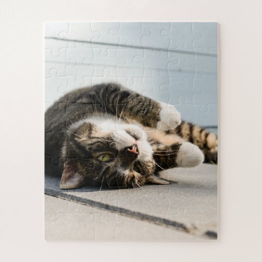 Puzzle Lazy Cat Lounge sur Porch (Vertical)