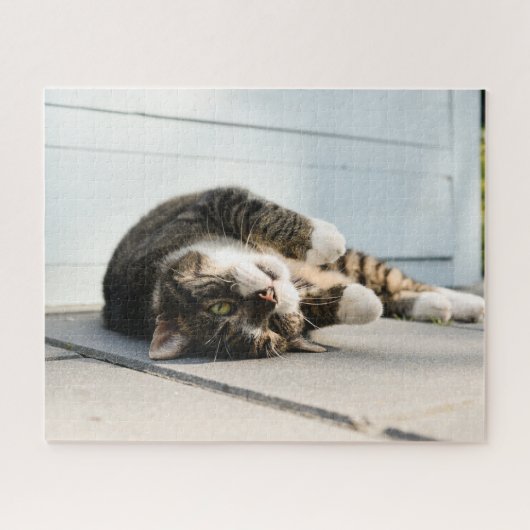 Puzzle Lazy Cat Lounge sur Porch (Horizontal)
