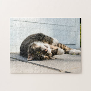 Puzzle Lazy Cat Lounge sur Porch