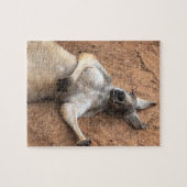 Puzzle Lazy Days Kangaroo (Horizontal)