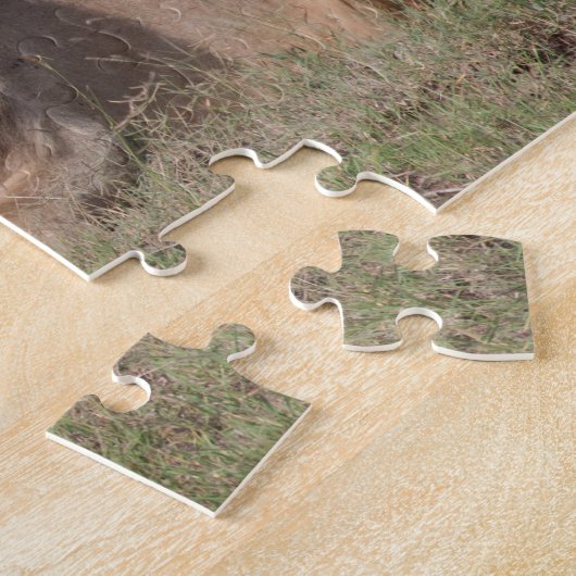 Puzzle Lazy Lion Brothers sur la Savannah (Côté)