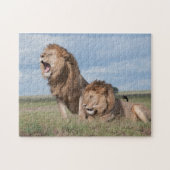 Puzzle Lazy Lion Brothers sur la Savannah (Horizontal)