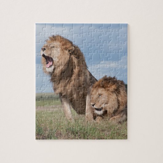 Puzzle Lazy Lion Brothers sur la Savannah (Vertical)