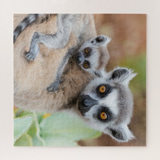 Puzzle Le bébé Lemur de Ring-Tailed (Horizontal)
