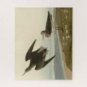 Puzzle Le bécasseau de Schinz des oiseaux d'Amérique d'Au (Vertical)