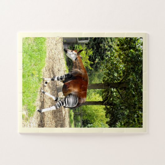 Puzzle Le bel okapi (Horizontal)