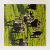 Puzzle Le bétail de vaches sur l'herbe verte (Horizontal)