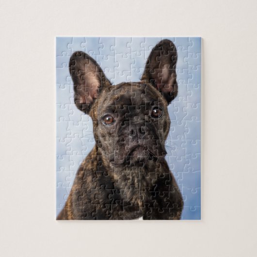 Puzzle Le bouledogue français (Vertical)