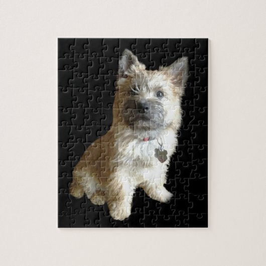 Puzzle Le cairn Terrier le plus mignon jamais !  Plus (Vertical)