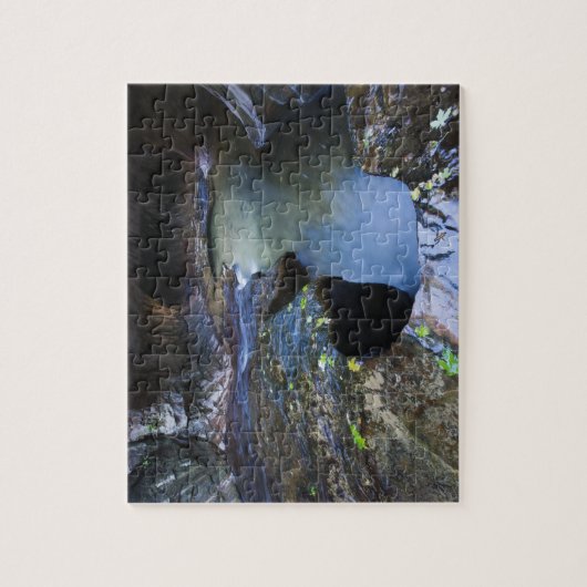 Puzzle Le canyon de fente de souterrain (Vertical)