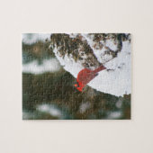 Puzzle Le cardinal perché sur un Bush neigeux (Horizontal)
