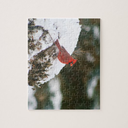 Puzzle Le cardinal perché sur un Bush neigeux (Vertical)