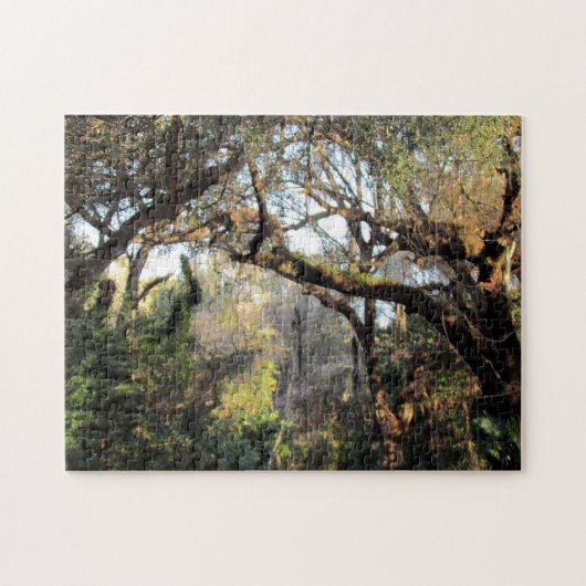 Puzzle Le casse-tête de la Forêt magique (Horizontal)