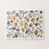 Puzzle Le casse-tête du collecteur Shell (Horizontal)